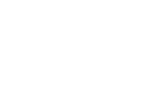Blackrevenue.24121b4